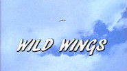 Wild Wings
