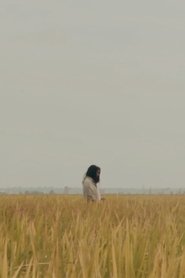 The Lost Piece 2018 Безплатен неограничен достъп