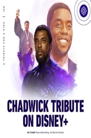 Chadwick Boseman A Tribute for a King