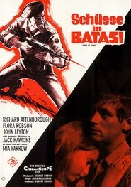 Guns at Batasi