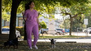 The Frenchie That Can't Poo