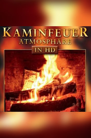 Kaminfeuer Atmosphäre in HD