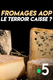 Poster Fromages AOP : le terroir caisse ?