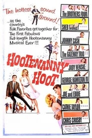 Poster Hootenanny Hoot
