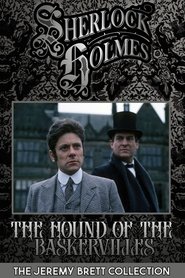 The Hound of the Baskervilles