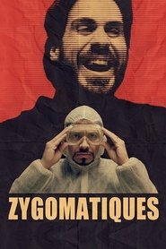 Poster Zygomatiques 2013