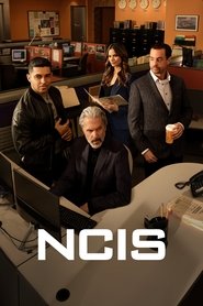 NCIS Sezonul 22 Episodul 14 Online