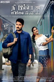 Nee illa Tum Ninne Nuvvu (2025)