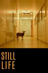 Poster Still Life 2016