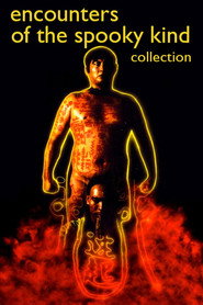 Poster Encounters of the Spooky Kind II 1990