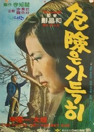 Poster A Full Danger 1967