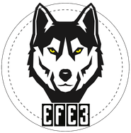 Logo for Efe3 Logo for Efe3