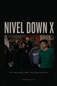 Nivel Down X