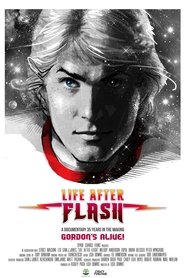 Life After Flash (2017) Life After Flash (2017)