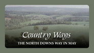 The North Downs Way in May