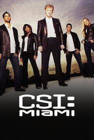 CSI: Miami poster