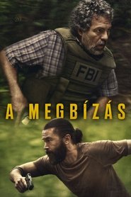 A megbízás