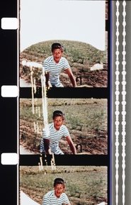 Poster Montage 1977