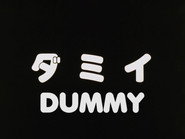 Dummy