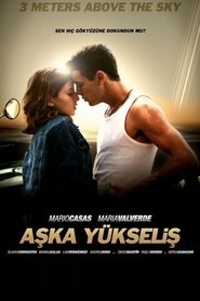 Aşka Yükseliş (2010)