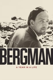 Poster Bergman: A Year in a Life 2018