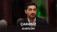 Episode 22
