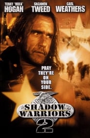 Shadow Warriors - Assault on Death Mountain постер