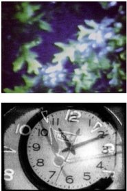 4:44 (from her house home) (1989)