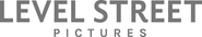Logo for Level Street Pictures Logo for Level Street Pictures