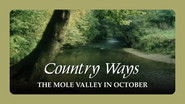 The Mole Valley in October