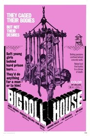 The Big Doll House (1971) The Big Doll House (1971)
