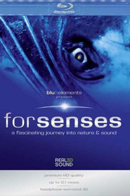 Forsenses：Blu Elements