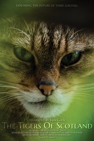 Poster The Tigers of Scotland 2017