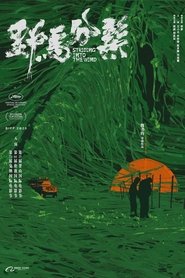 Poster 野马分鬃