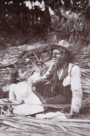 Poster The Message of the Palms 1913