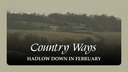 Hadlow Down in February