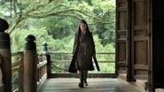 The Assassin en streaming