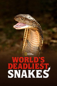 World's Deadliest Snakes постер