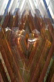 VORTEX TEMPORUM (2016)