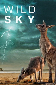 Wild Sky постер
