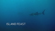 Episode 3: Island Feast