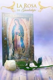 La Rosa De Guadalupe (USA)