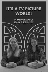 It's a TV Picture World! (2025)