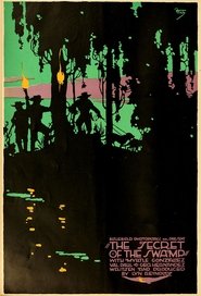 The Secret of the Swamp 1916