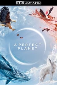Досконала планета постер