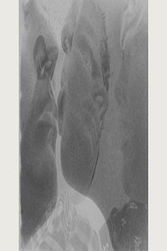 Poster Vis à Vis 2013