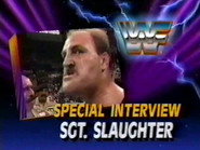 July 20, 1991 - Superstars of Wrestling 255