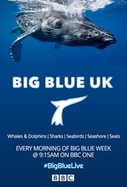 Big Blue UK (2015)