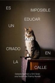 Es Imposible Educar Un Gato Criado en la Calle
