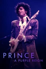 Prince: A Purple Reign 2011